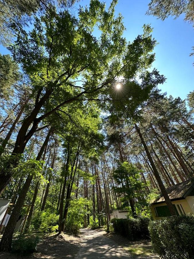 Summer House 卢布涅维采 外观 照片